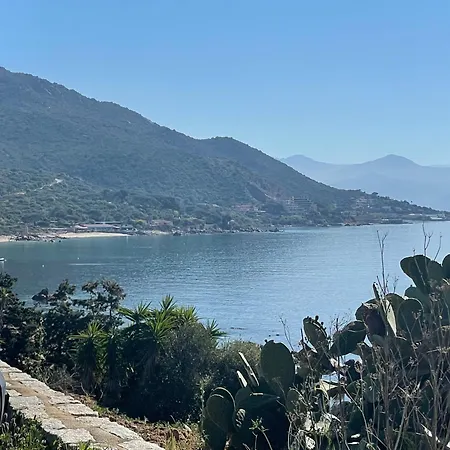 De Luxe Type 4 Eden Sanguinaires Vue Avec Piscine Chauffee