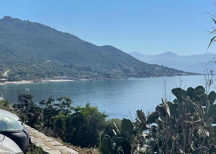 De Luxe Type 4 Eden Sanguinaires Vue Avec Piscine Chauffee